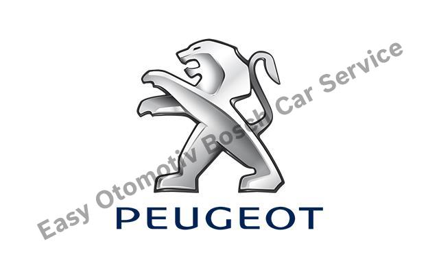 Ataşehir Peugeot Servisi